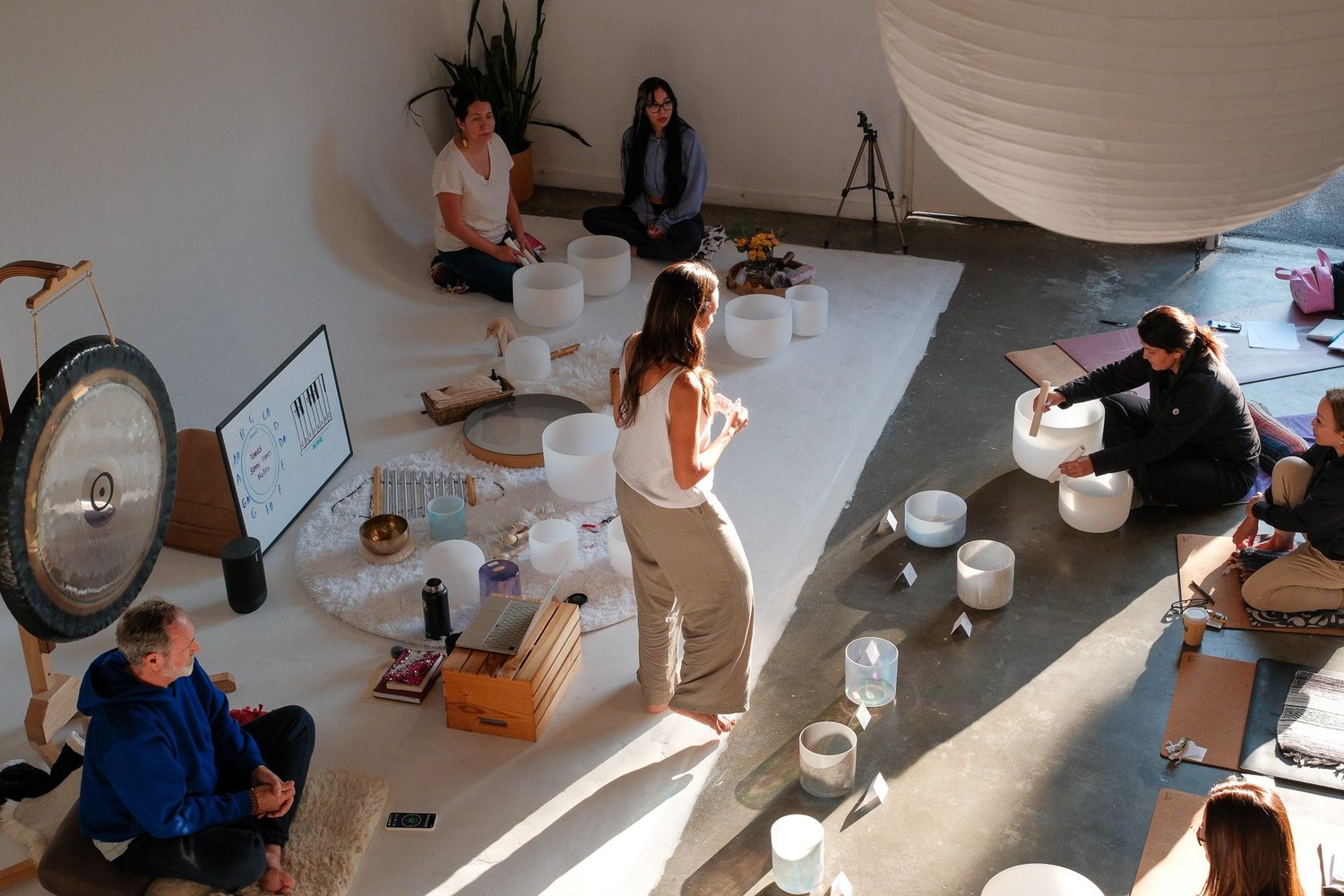 Crystal singing bowls arranged for an Aligned Sound Method training